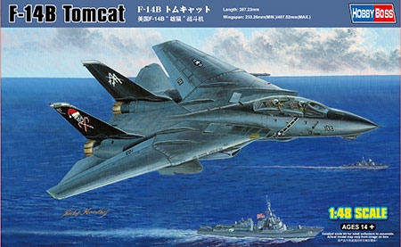F-14B Tomcat - 1/48